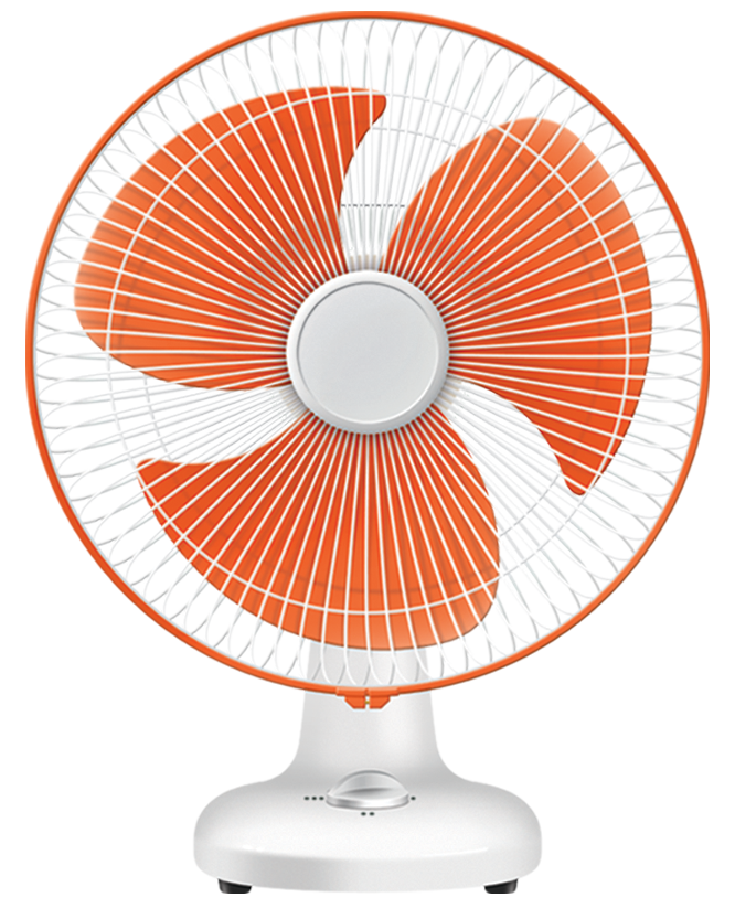 Dixon 300mm